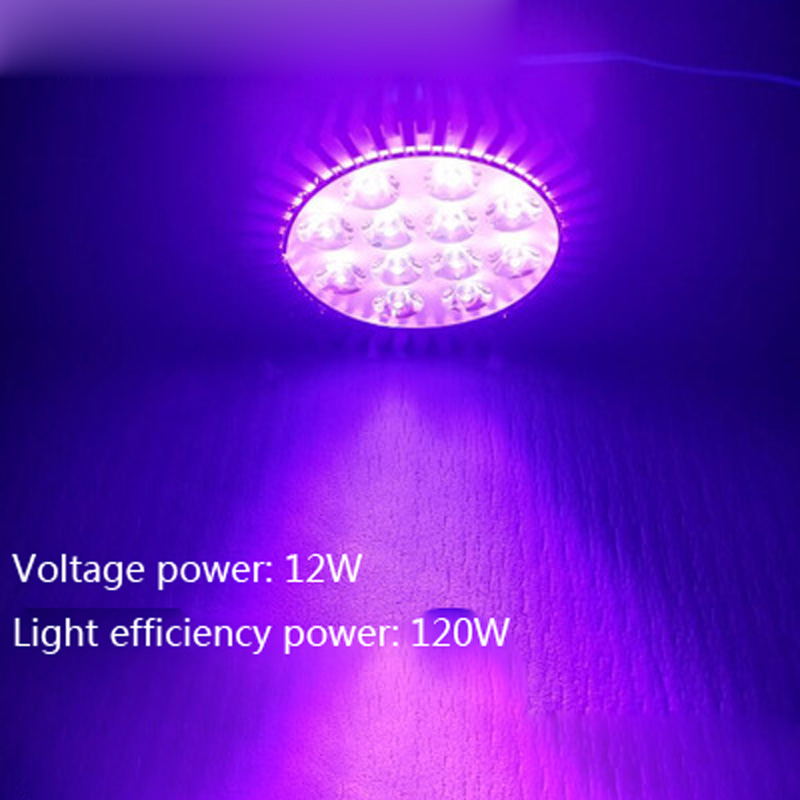 E27 Ultraviolet Light  UV Glue - огляд і ціна 3D Printing Uv Resin