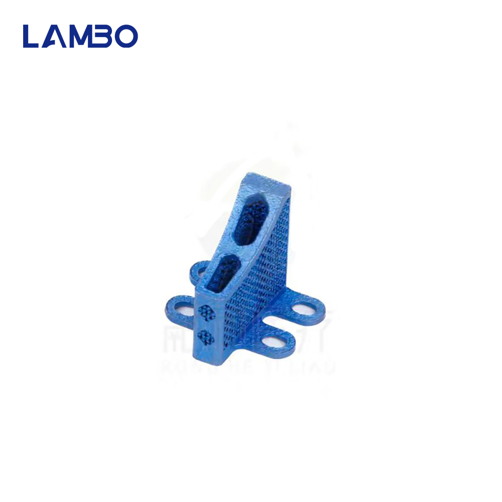 3D Printing TTA System Cage Bo - огляд і ціна 3D Printing Orthopedics