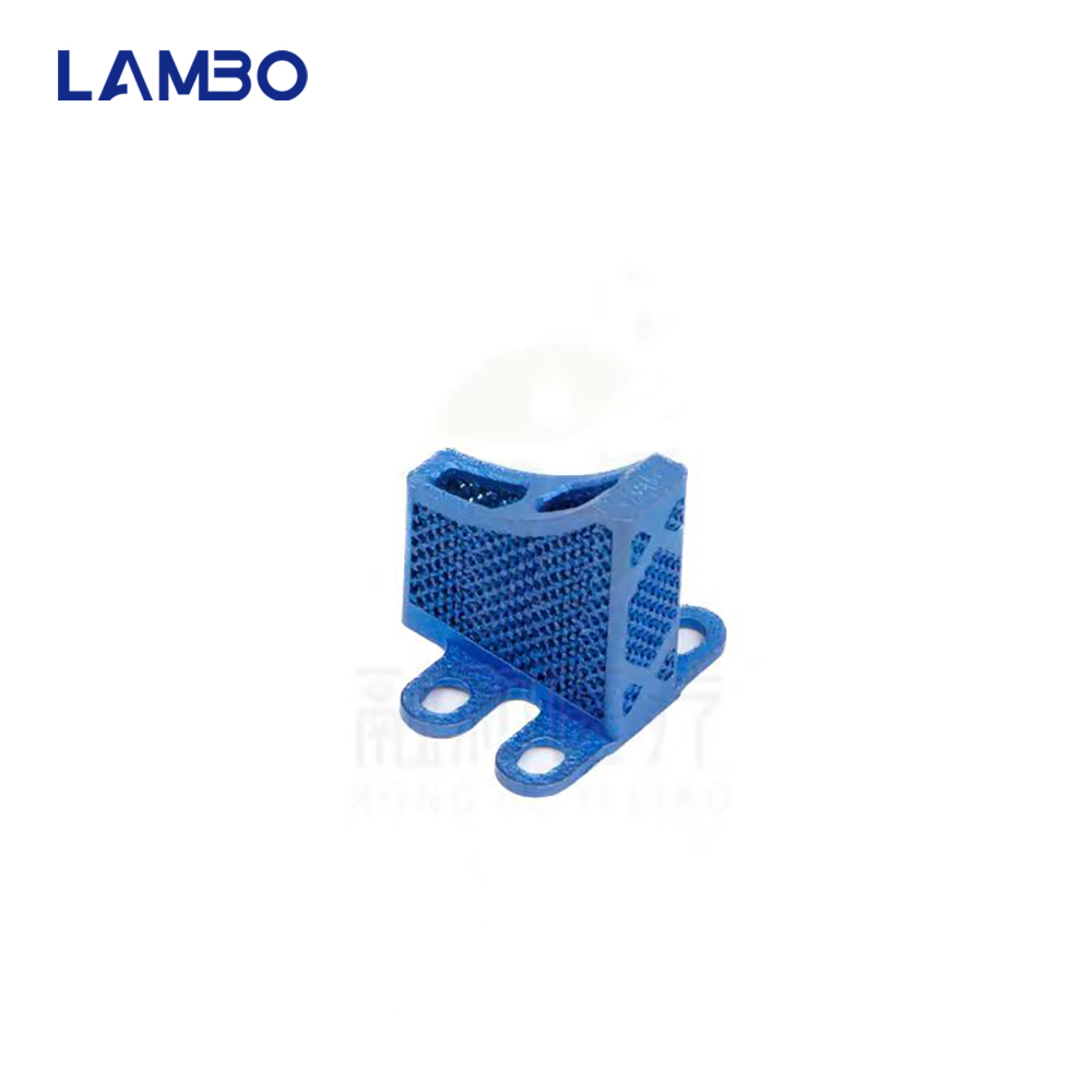3D Printing TTA System Cage Bo - огляд і ціна 3D Printing Orthopedics